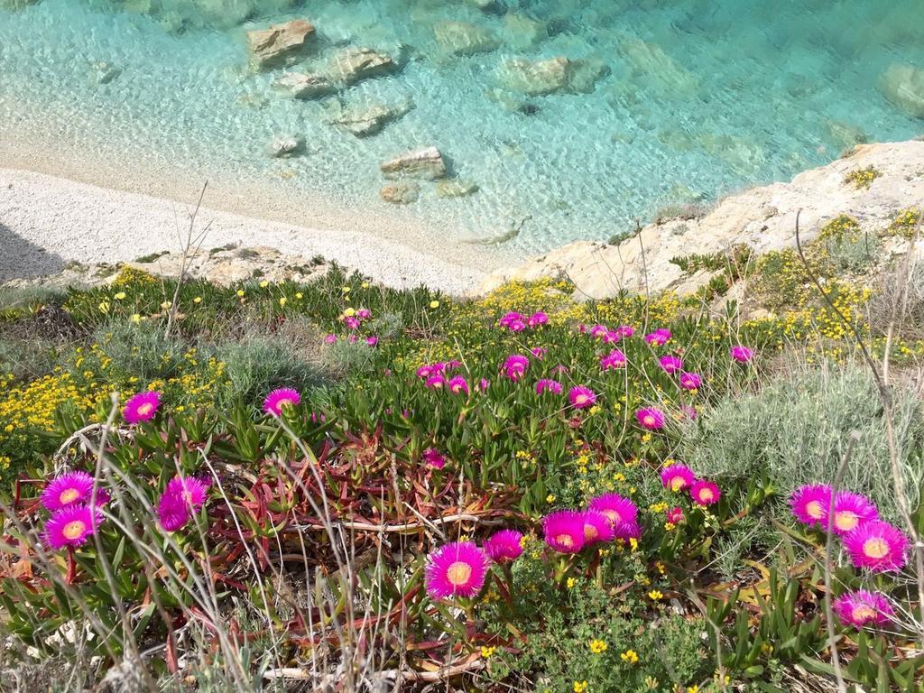 Hotel Experience Relais  Il Termine Elba Rio Marina Esterno foto
